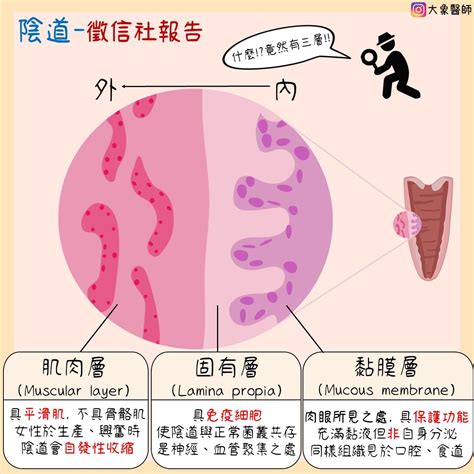 做愛愛|跟著A片學做愛！20個重拾新鮮感的愛愛方法：性愛綑綁、陰部按摩